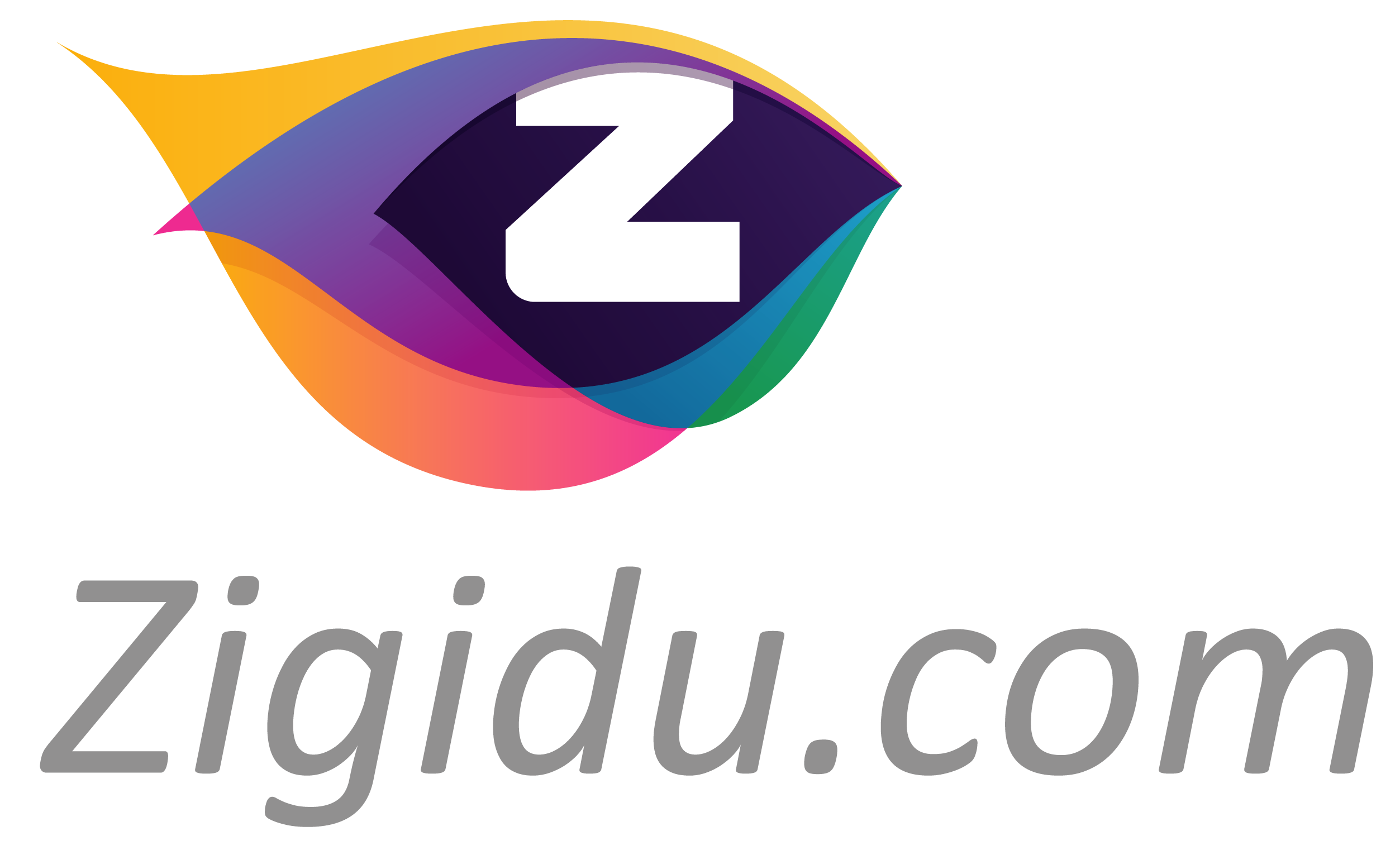 zigidu.com